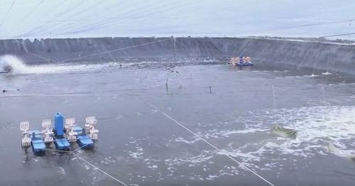 每個(gè)企業(yè)都是防疫網(wǎng)格 復(fù)工復(fù)產(chǎn)雙勝利丨惠東水產(chǎn)品觸網(wǎng)，助力走出滯銷(xiāo)困境