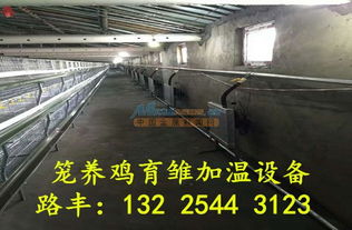 環(huán)保養(yǎng)殖鍋爐的革新之路 山東路豐溫控設(shè)備廠的專(zhuān)業(yè)解決方案與水產(chǎn)品零售新業(yè)態(tài)